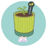 Garden Tags