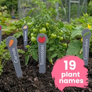Vegetable plant markers for carrots, spring onions and beetroot in an outdoor garden bed